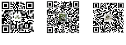 景觀(guān)雕塑定制 景觀(guān)雕塑定制